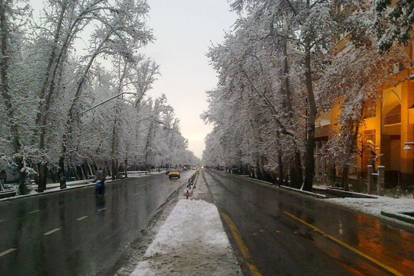 هتل در خیابان ولیعصر تهران