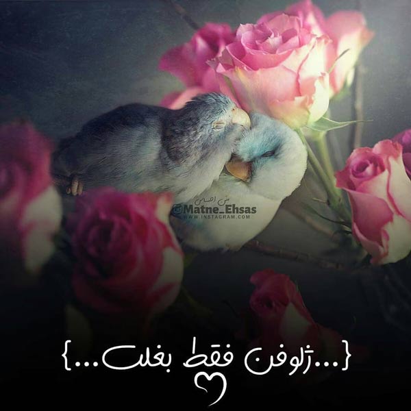 اس ام اس عاشقانه و احساسی